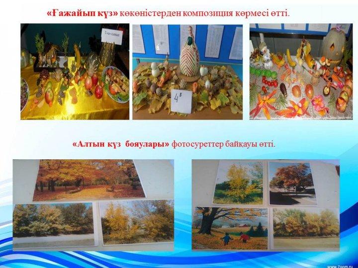 Қамқоршылық кеңес е себі