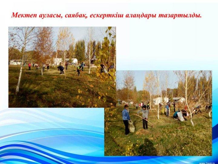 Қамқоршылық кеңес е себі