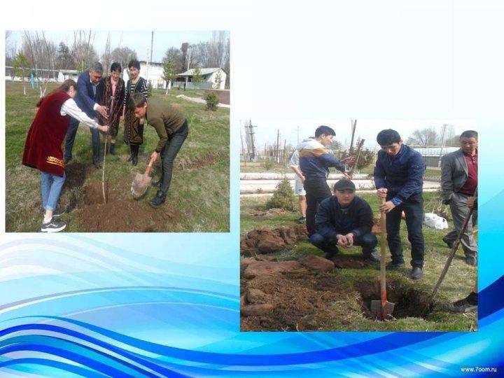 Қамқоршылық кеңес е себі