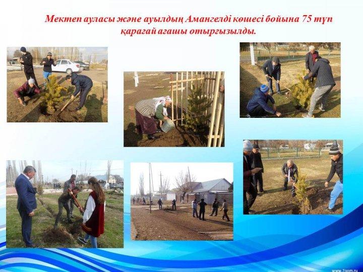 Қамқоршылық кеңес е себі