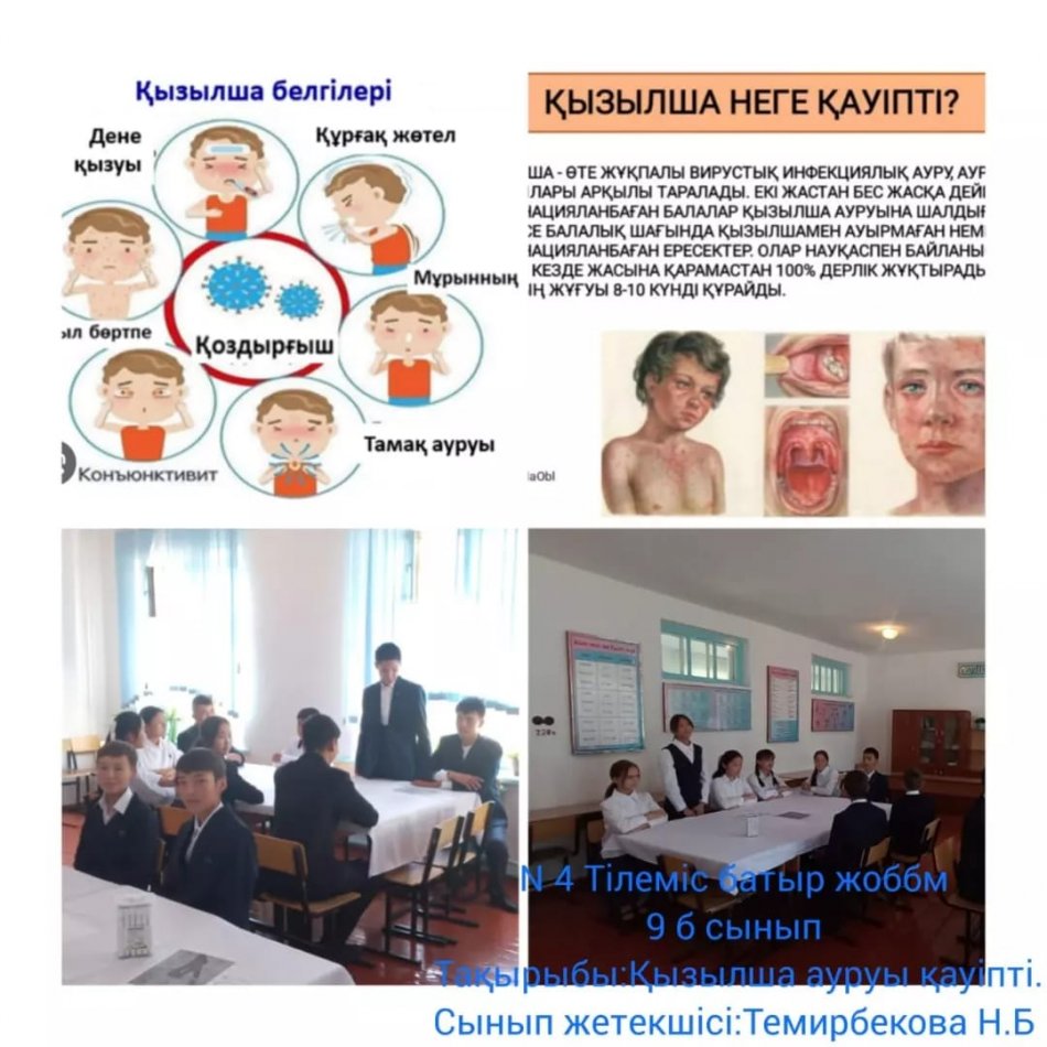  «Қызылшаға қарсы санитарлық эпидемиологиялық және санитарлық-профилактикалық іс-шараларды жүргізу туралы » 